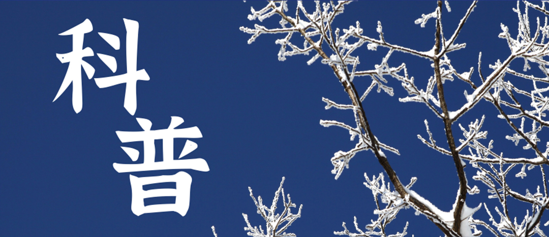 科普 | 冬季雨雪天氣?；愤\輸車輛注意事項